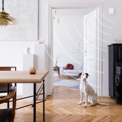 Modern scandi interior of living room.Elegant home decor with stylish accessories and furnitures.